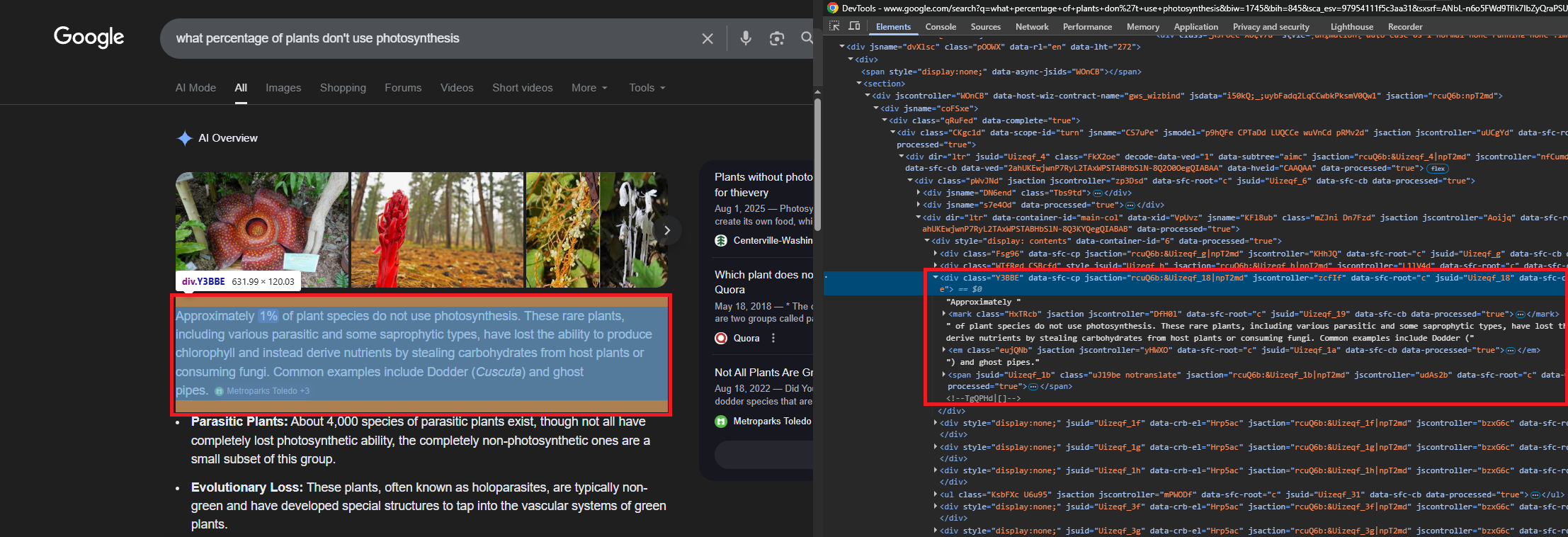 Chrome DevTools showing the AI Overview DOM structure with annotated selectors
