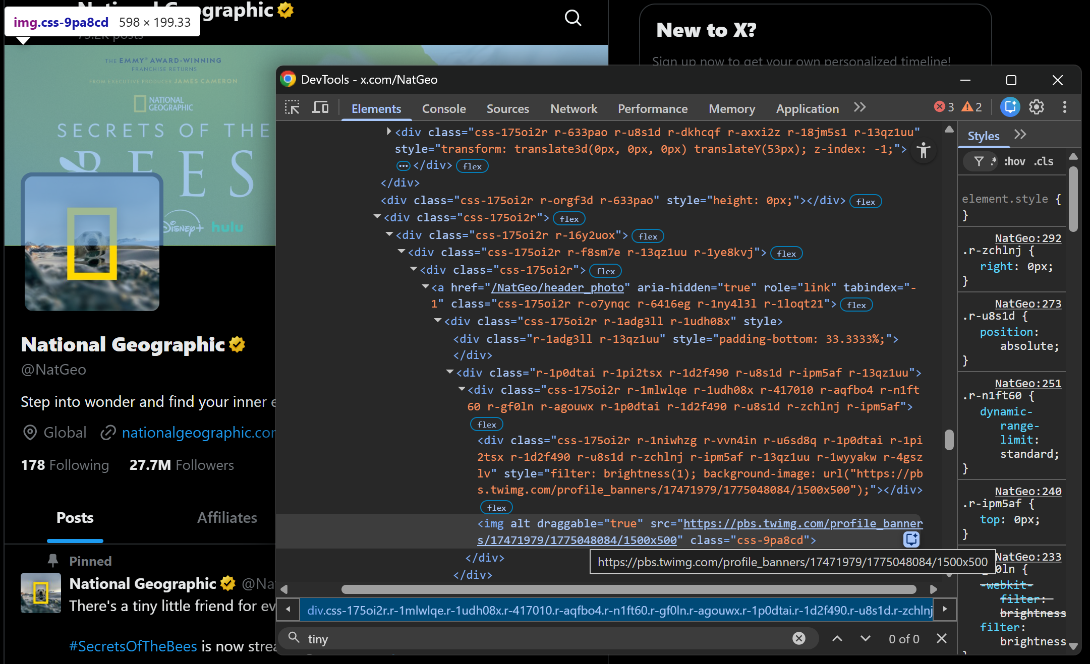 Inspecting the profile header image element