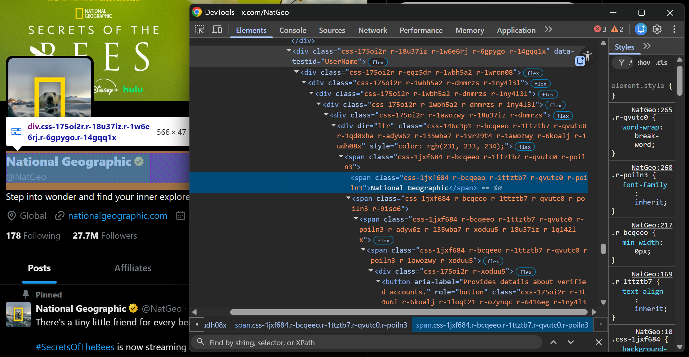Inspecting the profile name element