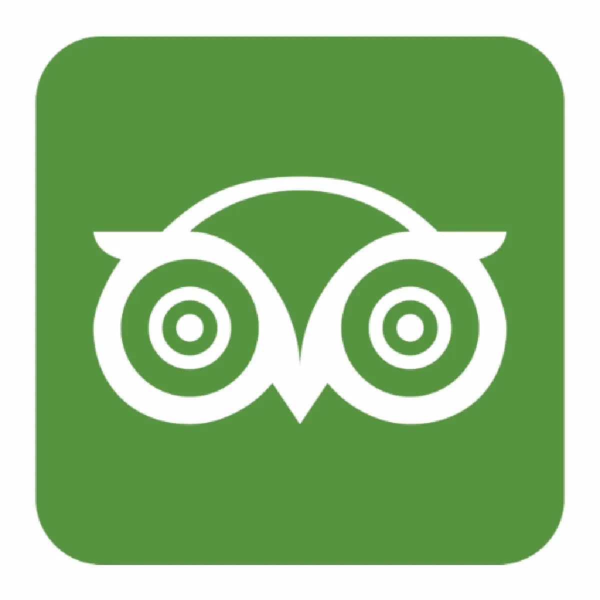 Scrape Tripadvisor restaurants and hotels for free · Apify
